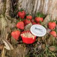 Teignes Vivantes Aromatisées en Btes d'env.10 Gr  Fraise
